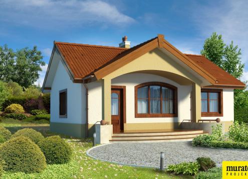 № 1383 Купить Проект дома Даинти. Закажите готовый проект № 1383 в Сургуте, цена 22835 руб.